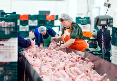 Personeel Frisia Food in Haulerwijk kan aan de slag bij Plukon
