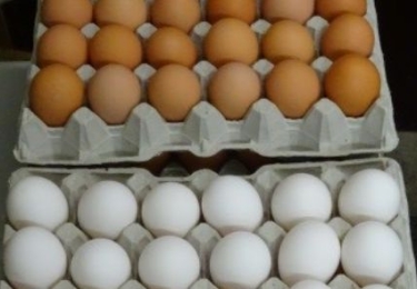 Politieke beslissingen duwen eierprijzen mee de hoogte in