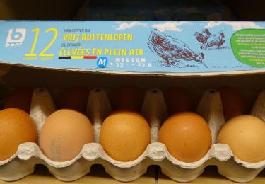 Recall van eieren na verhoogde niet-dioxineachtige PCB’s