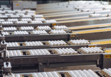 (+) Rechtbank geeft groen licht voor voortzetting schadeclaim eierkartel