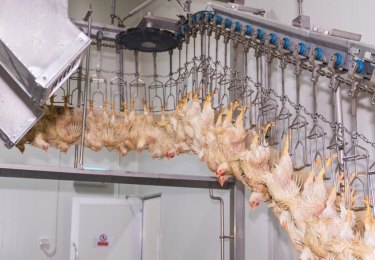 Sluiting kunstmestfabrieken zorgt voor pluimveevleestekorten in het VK