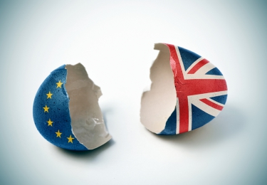 Toenemende bezorgdheid bij Britse vlees –en eierindustrie over No-deal Brexit