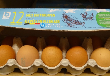Vlaanderen neemt controle op eieren in handen