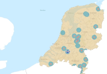 Vogelgriep vastgesteld in Uitwijk (NL)