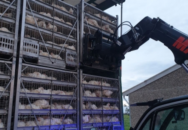 Voorlopige afwending van opschorting Nederlandse vang- en laadactiviteiten ondanks handhaving NVWA