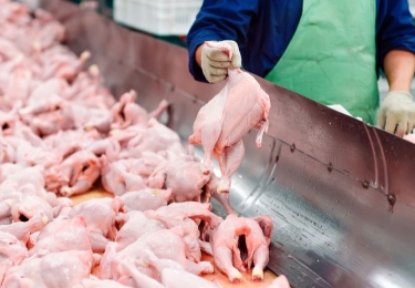 Wereldwijde vleesconsumptie zal in 2031 voor bijna de helft uit gevogelte bestaan 